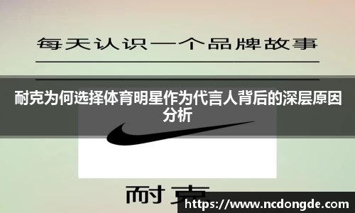 WE真人视讯