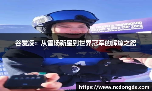 WE真人视讯官方网站