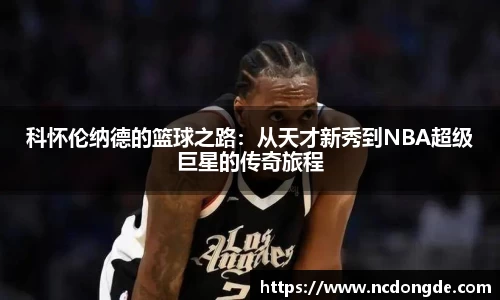WE真人视讯官方网站